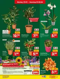 Netto Marken-Discount Prospekt woche 31 Seite 42