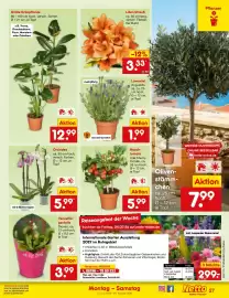 Netto Marken-Discount Prospekt woche 31 Seite 42