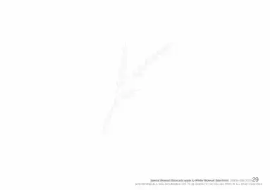 Honey Fashion Accessories catalogue Page 31