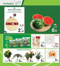 Volantino Conad Superstore Pagina 28