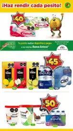 Folleto Bodega Aurrerá Página 10