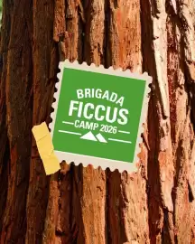 Catálogo Ficcus semana 30 Página 3