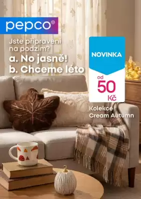 Pepco leták (platné do 29-07)