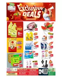 Bigmart leaflet Page 1
