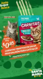 Catálogo Santa Maria Página 4