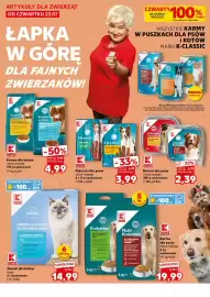 Kaufland gazetka Strona 22