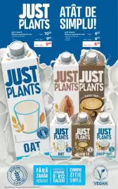 Catalog Selgros Pagină 13