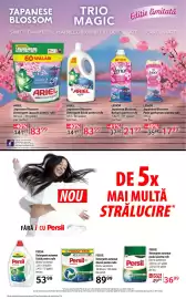 Catalog Selgros Pagină 21