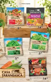 Catalog Selgros Pagină 8
