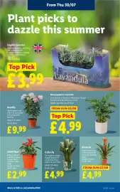 Lidl leaflet week 31 Page 26