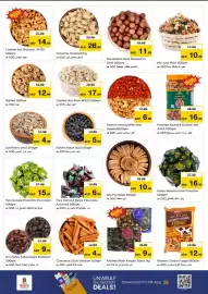 Nesto catalogue Page 14