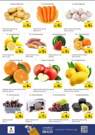 Nesto catalogue Page 2