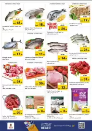 Nesto catalogue Page 24