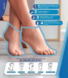 Catálogo Stanhome Página 172