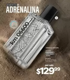Catálogo Stanhome Página 73