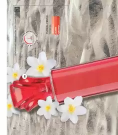 Catálogo Stanhome Página 96