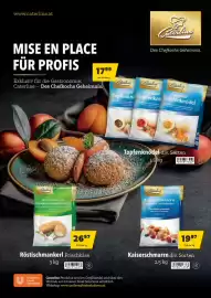 Eurogast Grissemann Flugblatt Seite 17