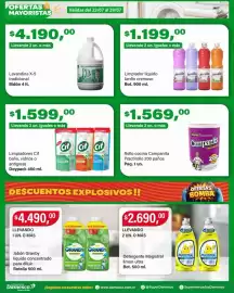 Catálogo Supermercados Damesco semana 30 Página 10
