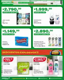 Catálogo Supermercados Damesco semana 30 Página 9