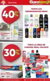 Folleto DelSol semana 30 Página 13
