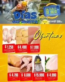 Catálogo Mercapava Página 5