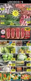 Lococo's flyer Page 1