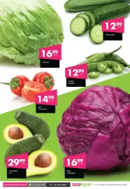 Save Hyper catalogue Page 5