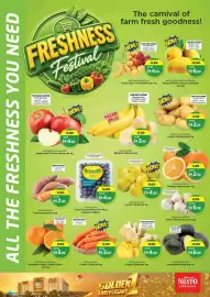 Nesto catalogue Page 4