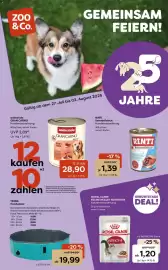 Zoo & Co Prospekt woche 31 Seite 1