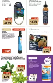 Zoo & Co Prospekt woche 31 Seite 11