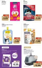 Zoo & Co Prospekt woche 31 Seite 8