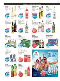 V Markt Prospekt woche 31 Seite 10