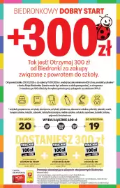 Biedronka gazetka Strona 33