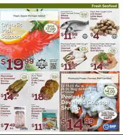 DeCicco & Sons weekly ad week 30 Page 5