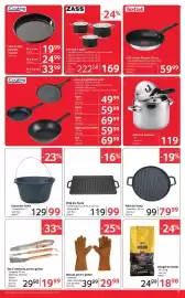 Catalog Selgros Pagină 11