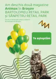 Magazine Animax Pagină 22