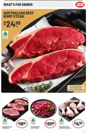 IGA catalogue Page 16