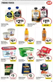 IGA catalogue Page 21