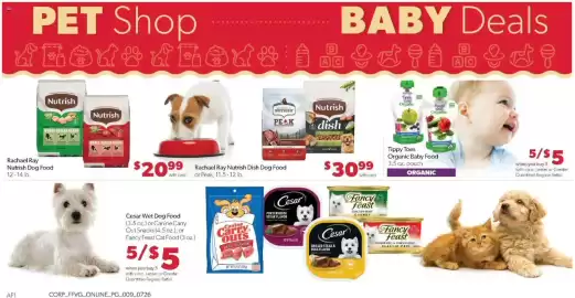Family Fare weekly ad week 31 Page 13
