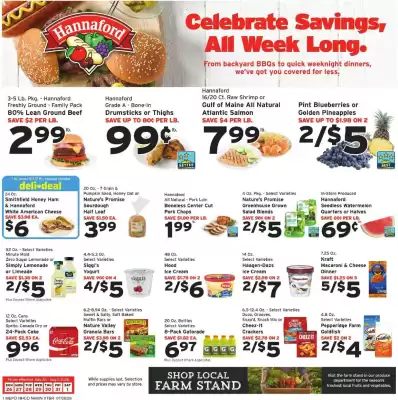 Hannaford flyer (valid until 1-08)