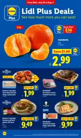 Lidl weekly ad week 31 Page 2