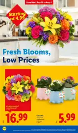 Lidl weekly ad week 31 Page 34