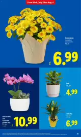 Lidl weekly ad week 31 Page 35