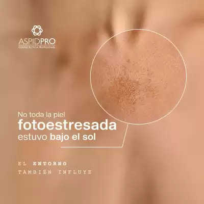 AspidPro (válido hasta 30-07)