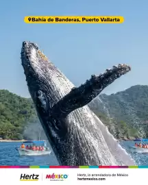 Catálogo Hertz semana 30 Página 2