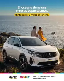 Catálogo Hertz semana 30 Página 4