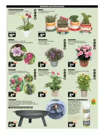 V Baumarkt Prospekt woche 31 Seite 2