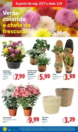 Folheto Lidl semana 31 Página 36