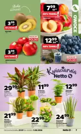 Netto gazetka tydzień 31 Strona 7
