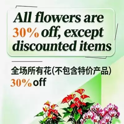 Nations Fresh Foods flyer (valid until 30-07)